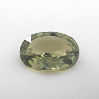 Merelani Mint Garnet Oval Cut 0.80 Ct – Natural Garnet