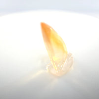 Mexican Fire Opal Sail Cut 1.96 Ct – Golden Yellow
