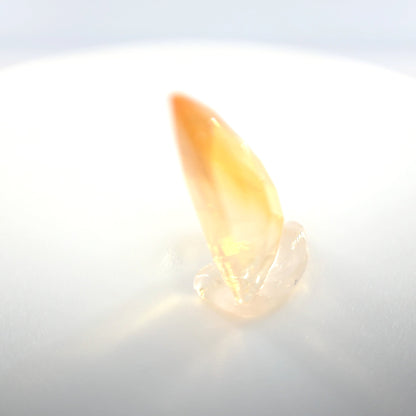 Mexican Fire Opal Sail Cut 1.96 Ct – Golden Yellow