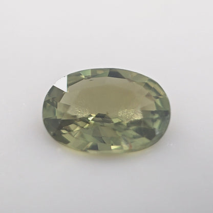 0.80 Ct Merelani Mint Garnet